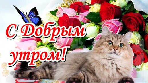 Доброе утро, друзья! 🤗 Всем хорошего 