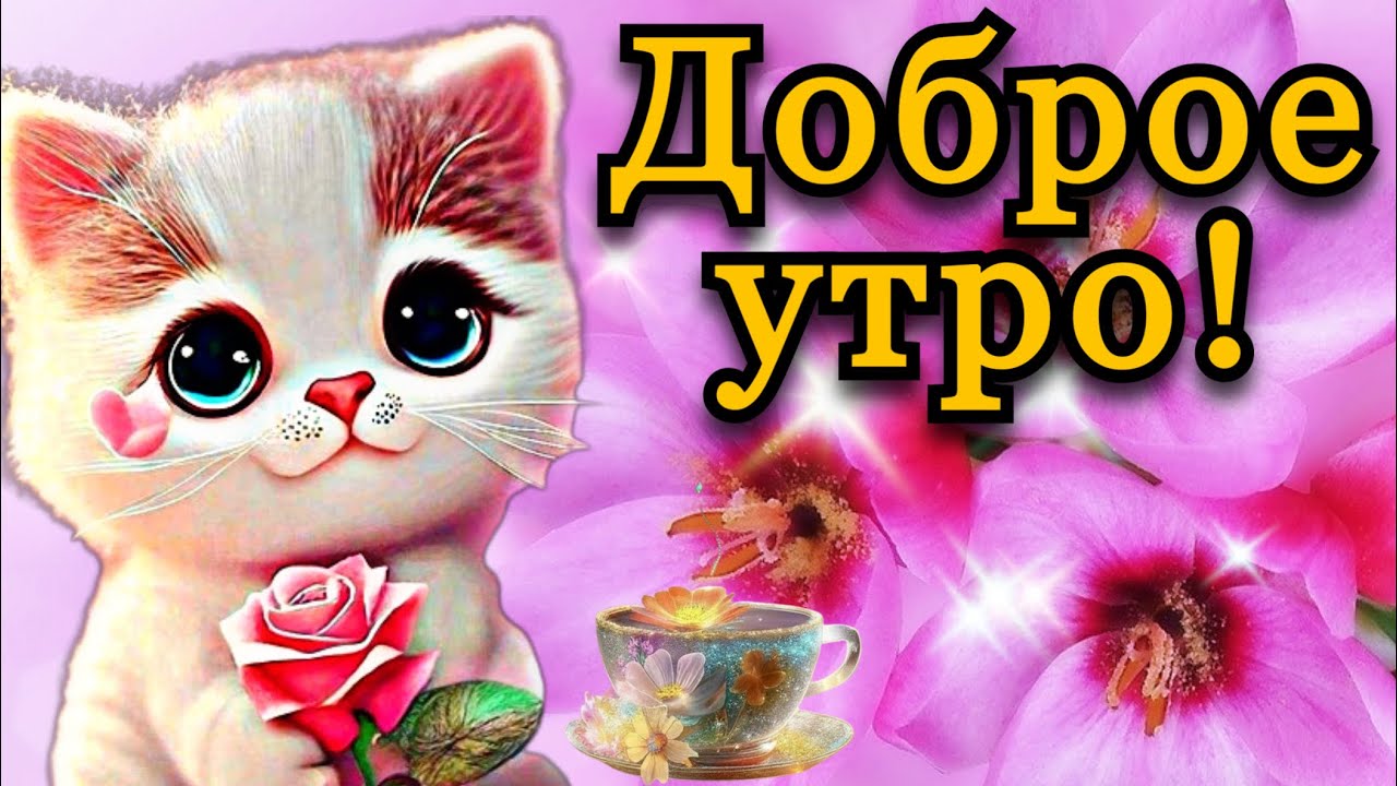 Доброе утро