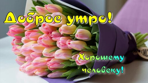 С Добрым Утром! Желаю прекрасного дня! Красивые пожелания 