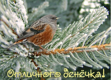 Во время декабрьского Дня сообщества появятся лица, знакомые 