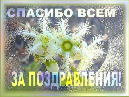 Всем огромное спасибо за поздравления❗️ 