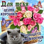 Открытка для любимых и родных Подруга 