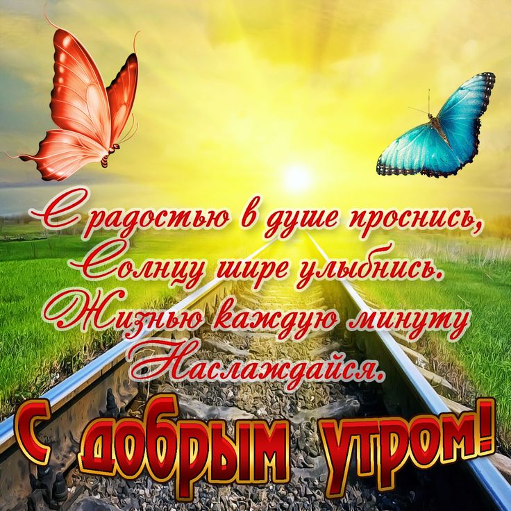 Красивое Утро Картинки Природа С 