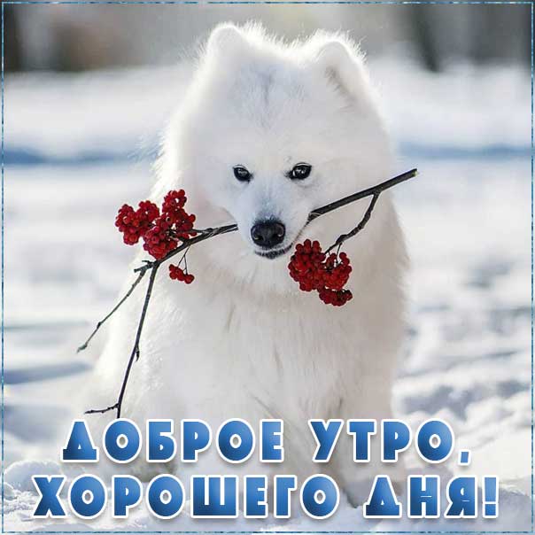 💌☀️😄 Картинки Хорошего дня