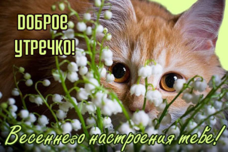 🌸✨☕ Красивые картинки 