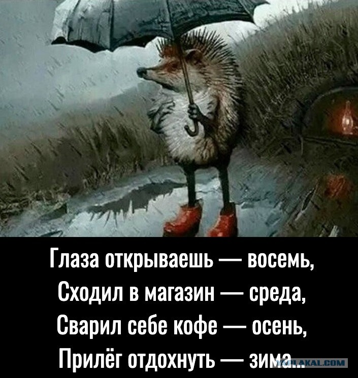 Доброе Утро Это Не Просто Слова 