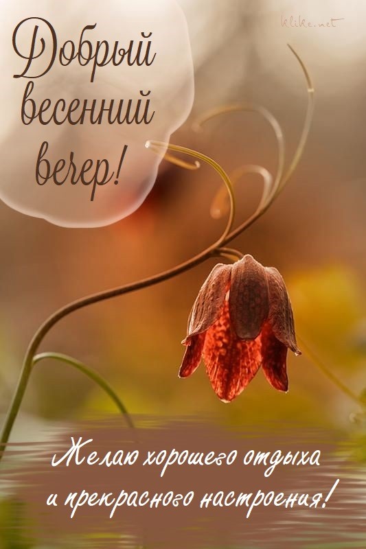 Картинки добрый вечер весна 