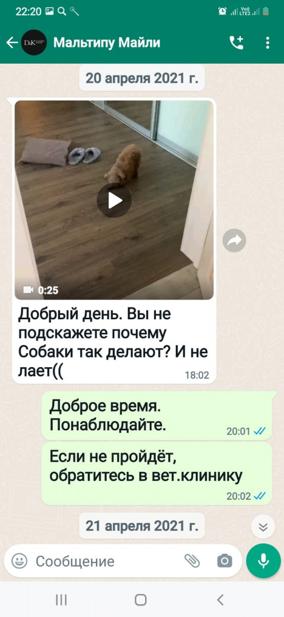 Самые смешные фото котов, которые наделали шума в интернете