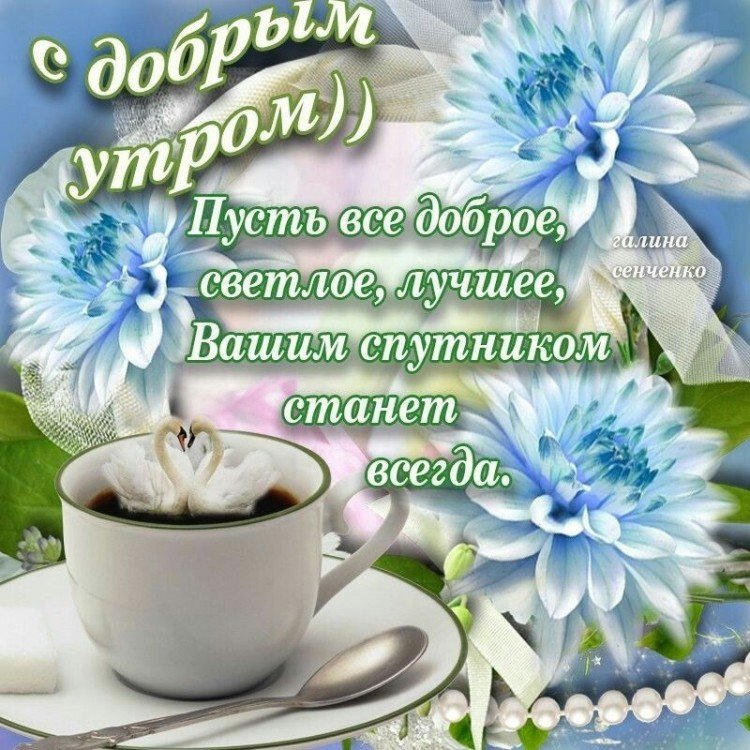 ДОБРОЕ ЗИМНЕЕ УТРО 😘 ЗИМА