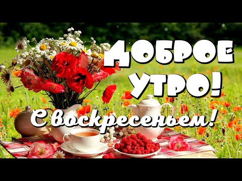 Чудесные пожелания на воскресенье 