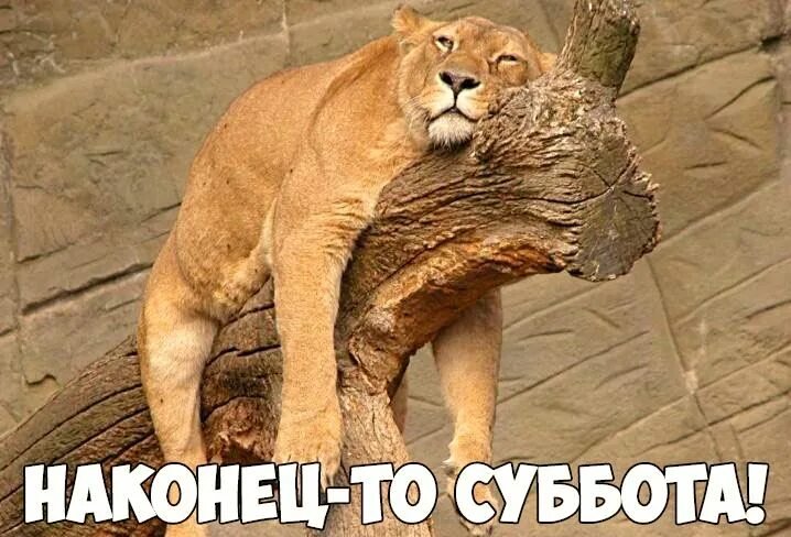 Суббота