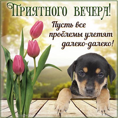 Хорошего вечера… #вечер #настроение #жизнь #рилс #юмор