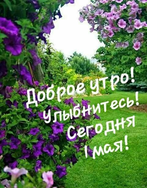 Доброе утро!