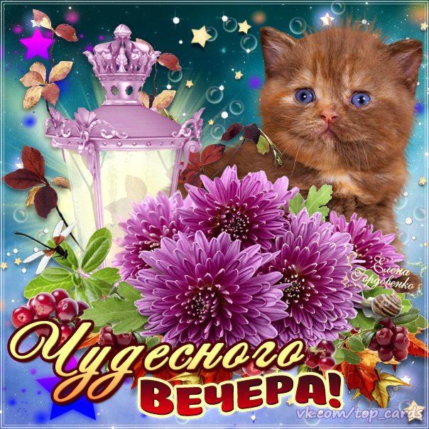 Доброго вечера! 