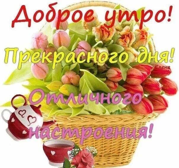 Красивые картинки Доброе утро ☀️☕ 618 шт