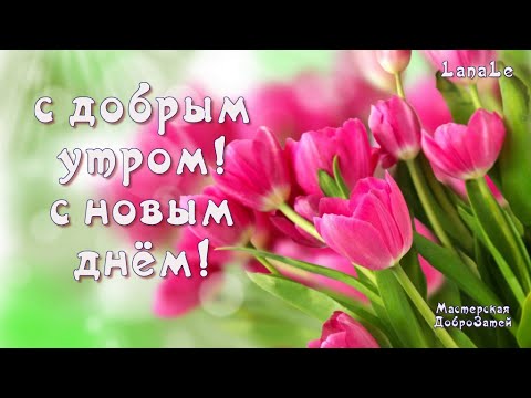 Открытка С добрым утром,с новым днём