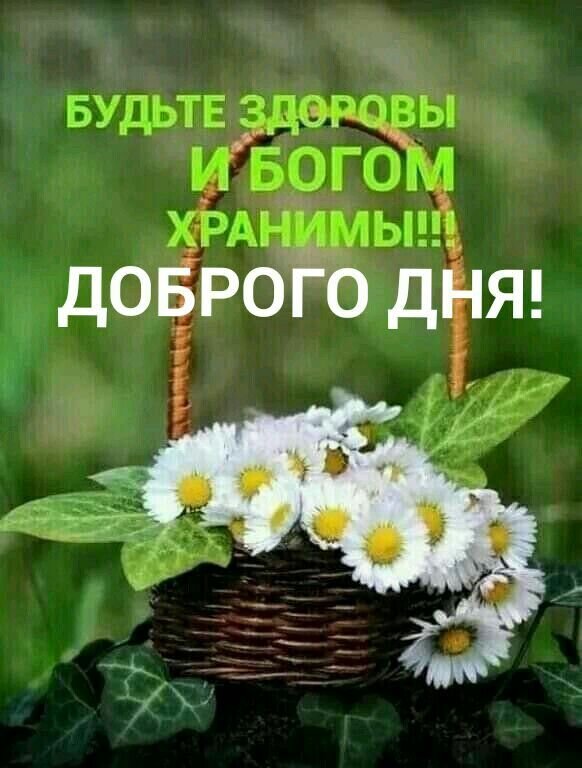 Доброе утро!