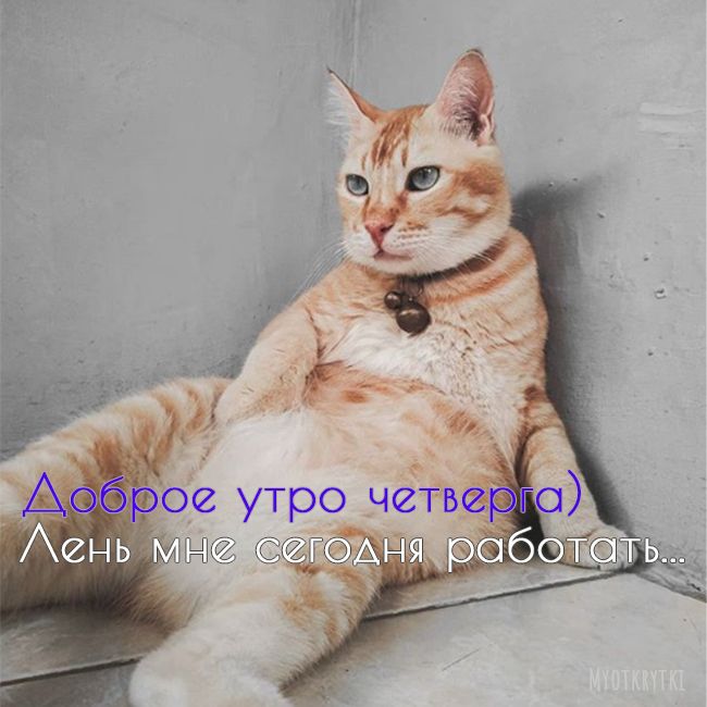 Доброе утро