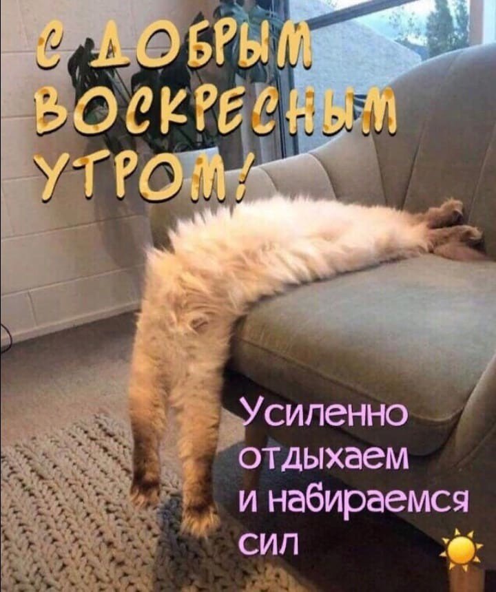 Приколы С Добрым Утром 