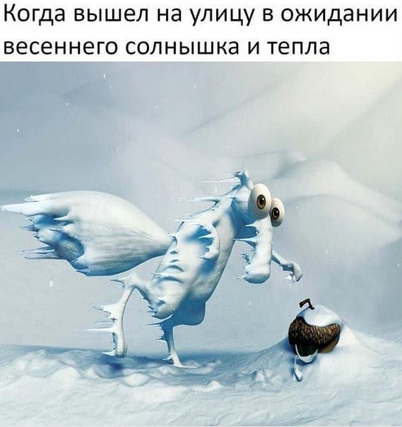 Юмор Весенний юмор 