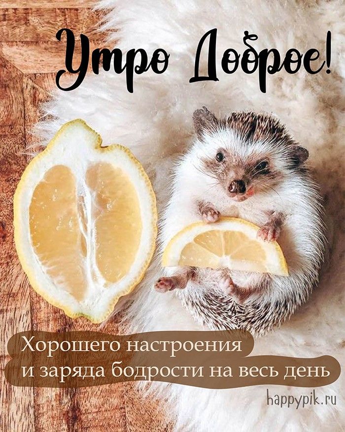 Доброе утро