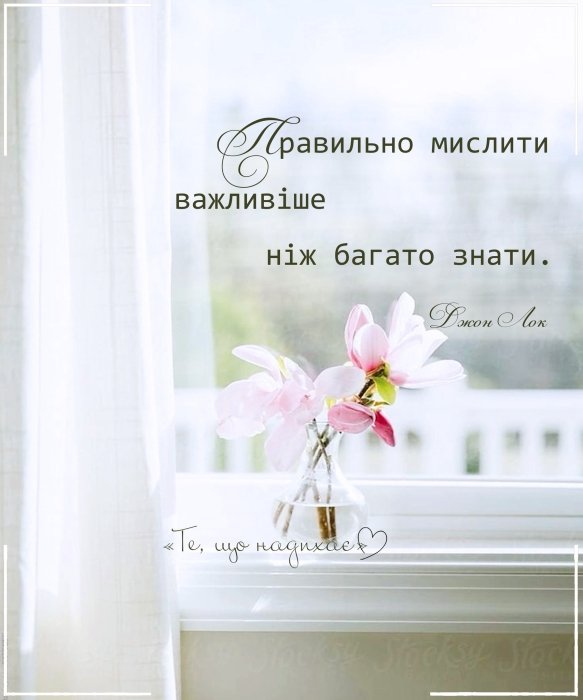 Мотивация дня