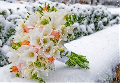 Открытка Зимний букет