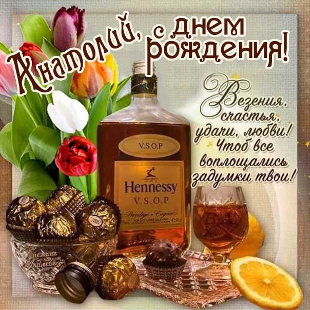 Анатолий, с Днем рождения! 