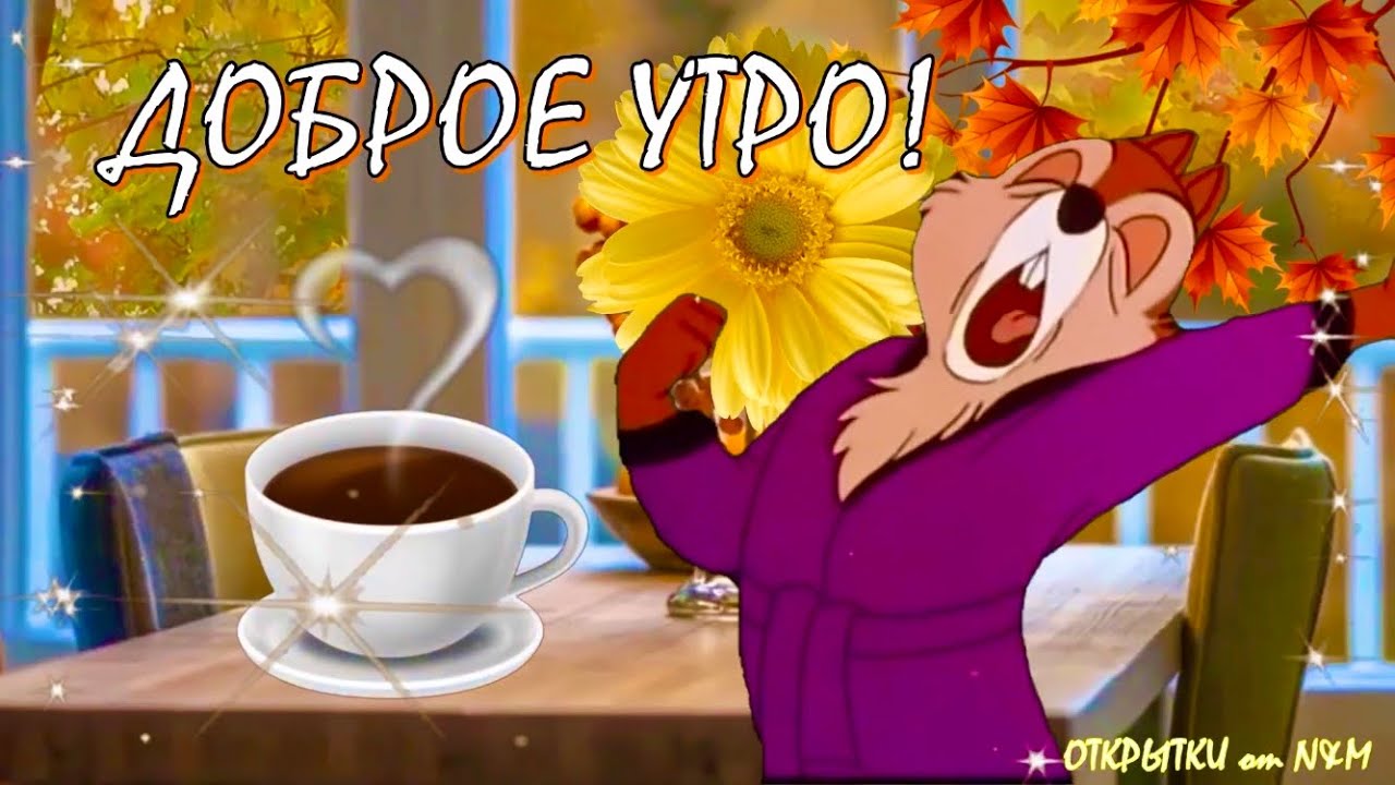 💗☕️Доброе Утро! Хорошего Дня!🌷Для Друзей! Заряд Позитива 