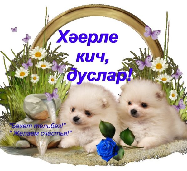 Хәерле кичләр#хэерлекич #хэерле #добрый #добрыйвечер #pek 