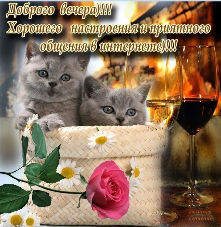 Добрый вечер ! Good evening !