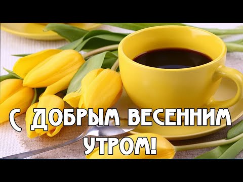 Доброе весеннее утро »