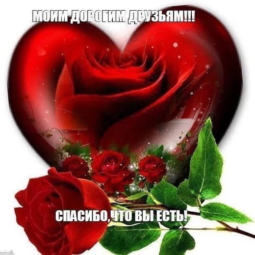 Открытка Спасибо за то, что вы есть