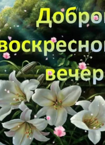 Добрый вечер воскресенья гифки 16 шт