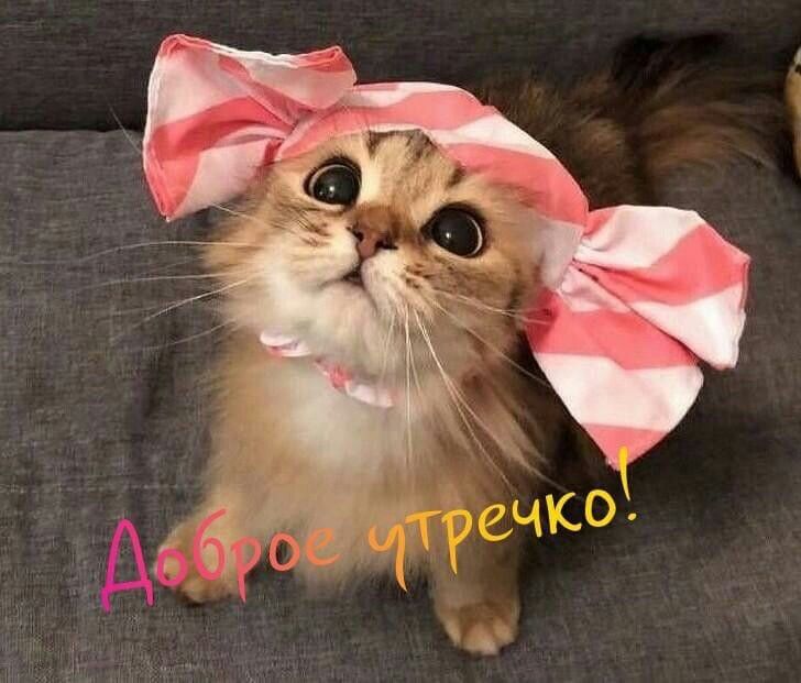 Доброе утро ❤😊 