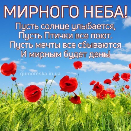 Доброе Утро!🌹💐 Мирного Неба Над Головой 