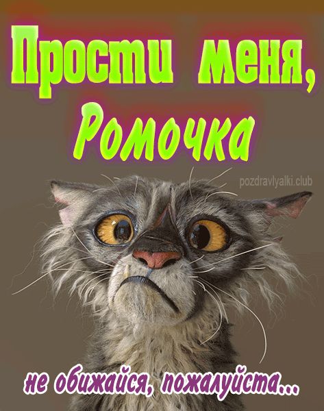 Ромочка!