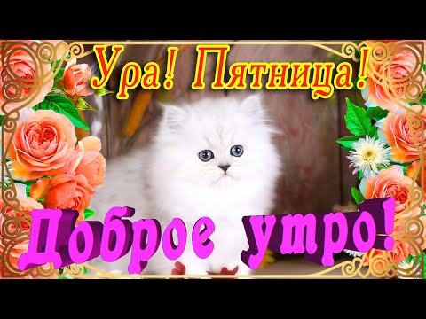 Ура, пятница! Музыкальная открытка 