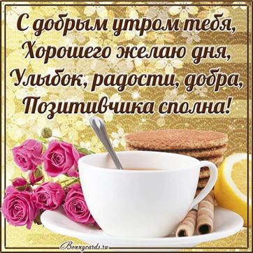 🌷Доброе утро, хорошего дня 