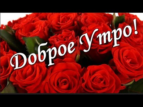 с добрым утром картинки 