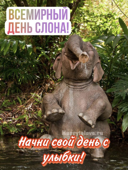 Слон – символ Таиланда