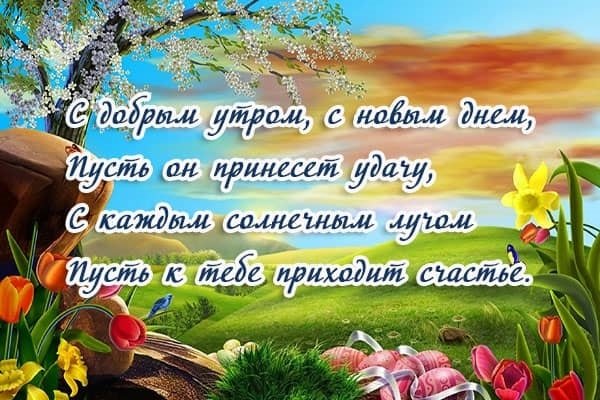 Пожелания доброго утра и отличного дня 