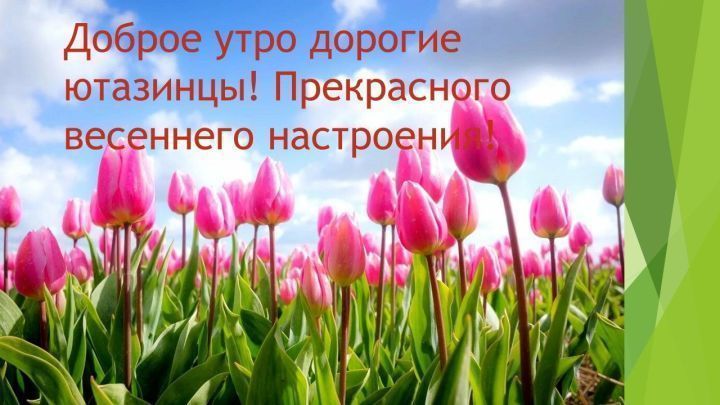 ХОРОШЕГО ДНЯ И ВЕСЕННЕГО НАСТРОЕНИЯ!!! 🌼 🌼 🌼