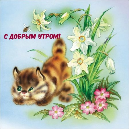 Открытки доброе утро котенок