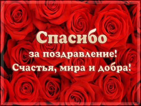 Спасибо за поздравления и пожелания, в прозе, в стихах 