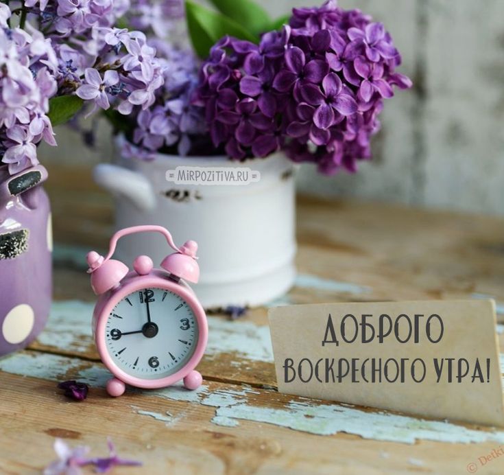 😃 Доброе воскресное утро