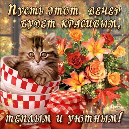 Открытки с котами