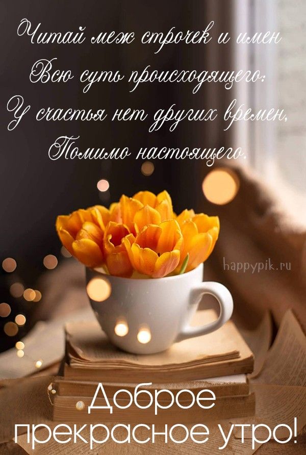 💗☕️Доброе Утро! Хорошего Дня!🌷Для Друзей! Заряд Позитива 