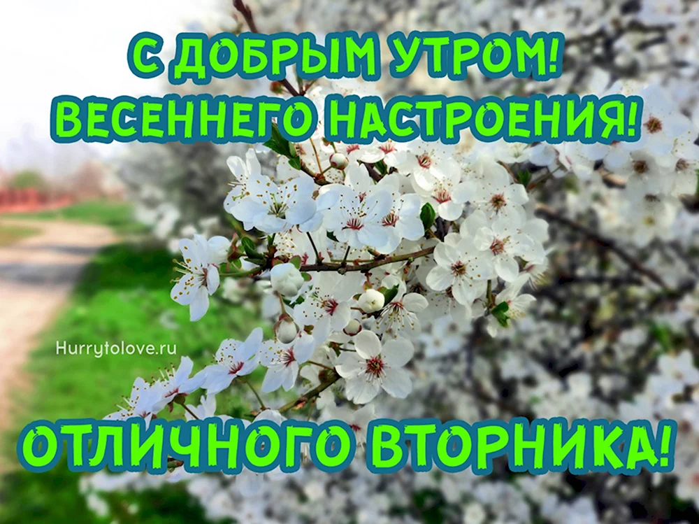 Самые прикольные открытки Доброе утро 