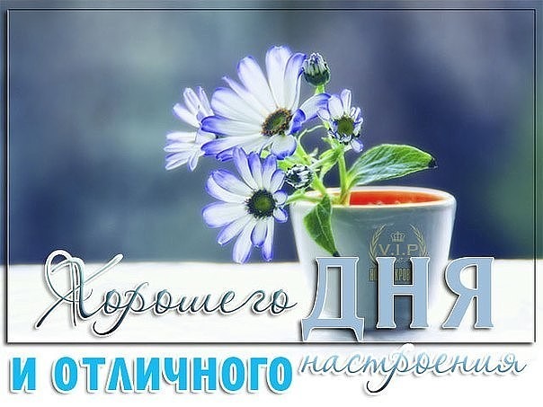 Осенние открытки 